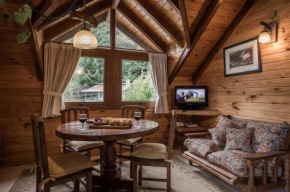 Cabañas y Spa Antuen San Martin De Los Andes